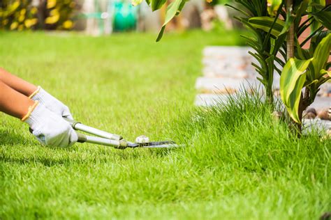 Search lawn care do it yourself. Lawn Care services Kansas | home decor | Tony's Garden Center