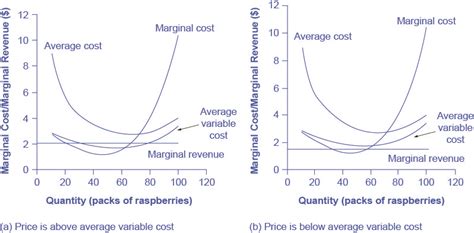 The total fixed costs, tfc, include premises, machinery and equipment needed to construct boats, and are £100,000, irrespective of how many boats are produced. How Perfectly Competitive Firms Make Output Decisions | OS ...