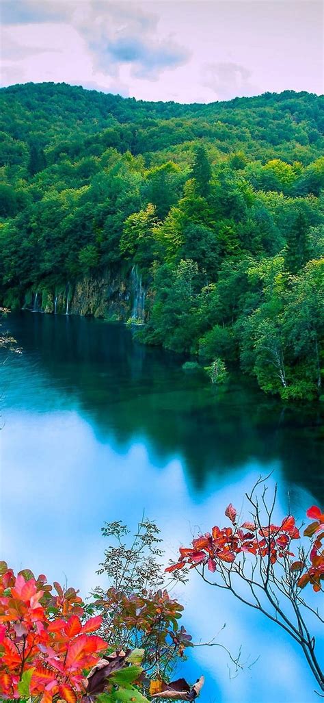 Lenovo Z6 Pro Wallpapers Nature Wallpaper Nature Photography