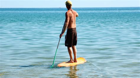 One Hour Paddleboard Rental From Riviera Beach Book Tours And Activities
