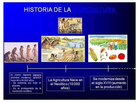 Cronologia De La Agricultura Peruana Las Haciendas 201 Poca Colonial Gambaran