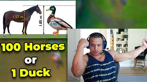 Tyler1 Fight A 100 Duck Sized Horses Or 1 Horse Size Duck Youtube