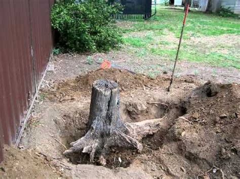 Digging up the tree stump only requires a shovel, a hatchet, and some hard work, all of which are fairly inexpensive. Tree stump removal | Stump removal, Tree roots, Tree root ...