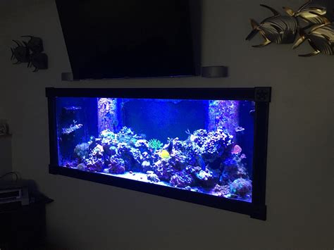 New Hampshire 210 Gallon Aquarium Reef2reef Saltwater And Reef