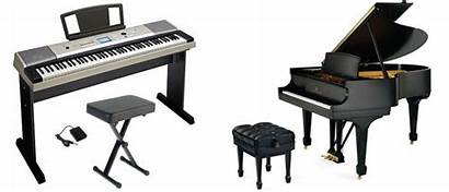 Piano Keyboard Instrument Start Which Considering Starter