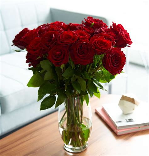 red-roses-flower-bouquet-48-red-roses-long-stem-4-dozen-roses-beautiful-red-roses-delivery