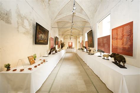Exposition Un Banquet à La Renaissance Sources Palais Du Coudenberg
