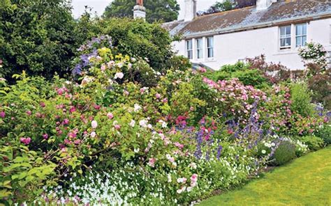 The rose garden at the montreal botanical garden has a collection of 10,000 roses in a modern rose garden with winding beds. Why modern roses are the best to grow | The Telegraph