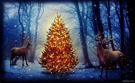 Reindeer Around Christmas Tree Wallpaper Download Christmas Hd