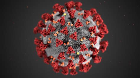 The latest tweets from corona (@corona). City of Arlington Response on the Coronavirus | Arlington Public Library