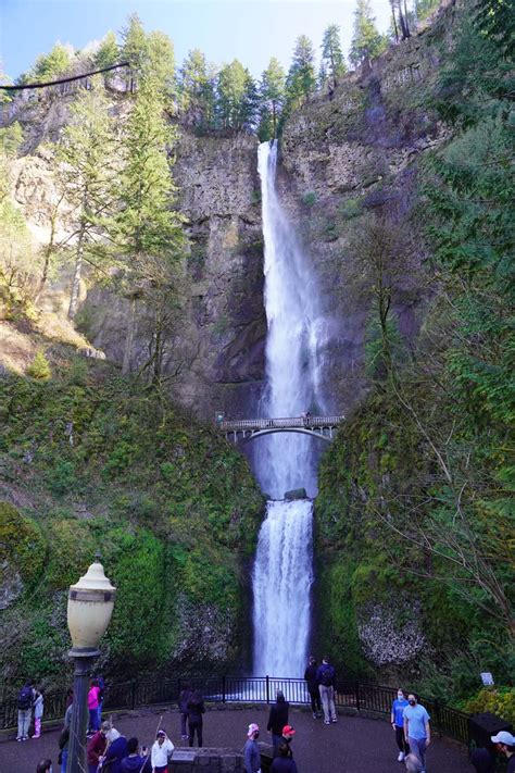 Multnomah Falls Columbia River Gorges Signature Waterfall