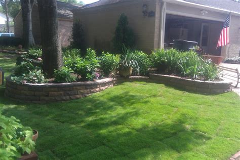 Maybe you would like to learn more about one of these? Arbor Life : Understand Emerald Zoysia