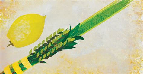 Order Your Lulav And Etrog