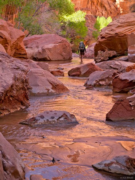 Hiking In Coyote Gulch 3 Glen Canyon National Recreation Area Utah