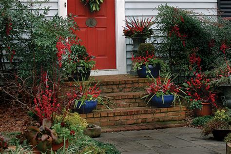 The Best Winter Containers From Outdoor Planters To Window Boxes