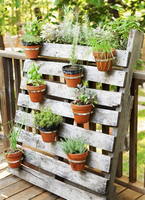 13 Container Gardening Ideas Potted Plant Ideas We Love