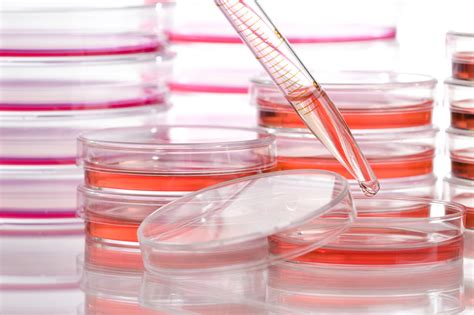 Application of animal cell culture pdf. Agitating Device of Cell Cultures | DrM Life Science