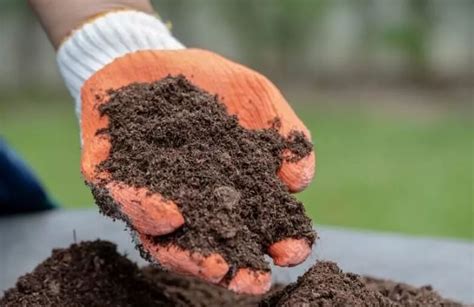 15 Characteristics Of Clay Soil Shreeram Kaolin