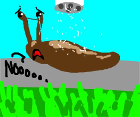 Save up to 10% on garden supplies, plants, pest control & more at gardens alive® how to kill a snail - Drawception