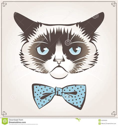 Grumpy cat stock illustration. Illustration of funny - 55200550