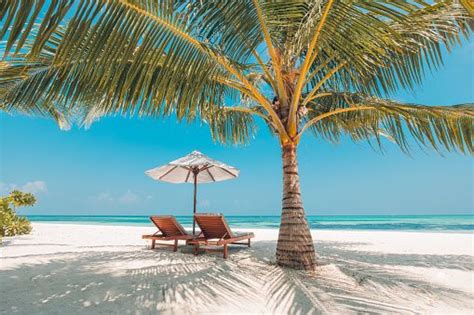 Vacation In Tropical Countries Beach Chairs Umbrella And