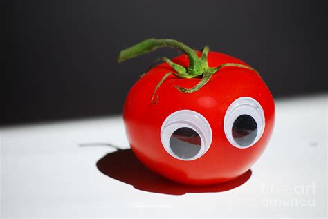 Funny Tomato Photograph By Sarka Olehlova Pixels