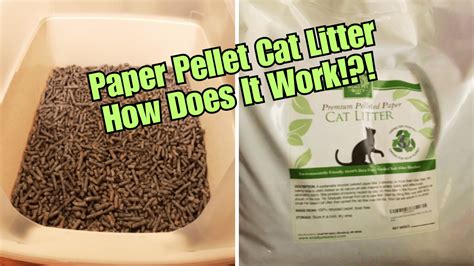 The Full Scoop On Paper Pellet Cat Litter Is It Worth It