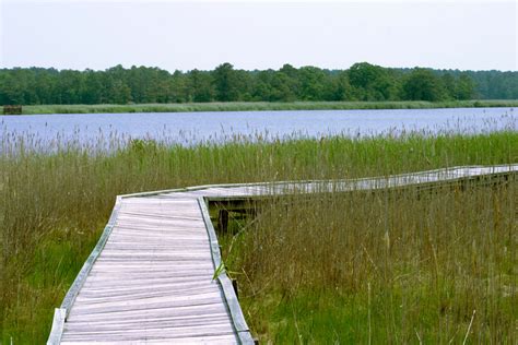 Wetlands Pier Chesapeake Bay Md