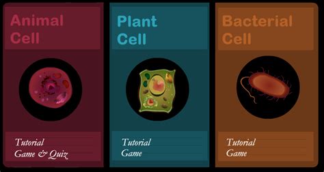 Cell Organelles - Year 8 science