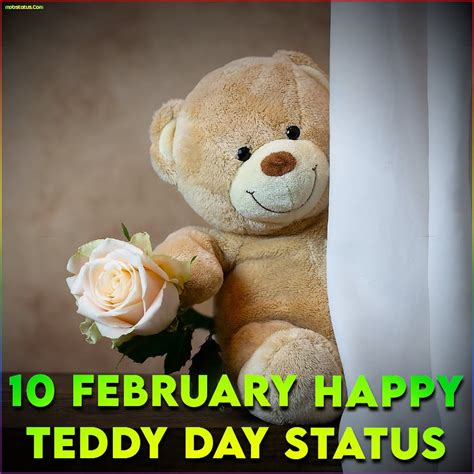 2020 Teddy Day Incredible Collection Of 999 Teddy Day Images In Full 4k