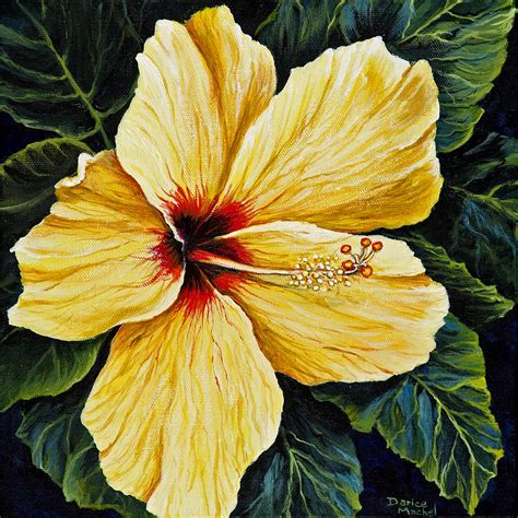 Yellow Hibiscus Painting By Darice Machel Mcguire