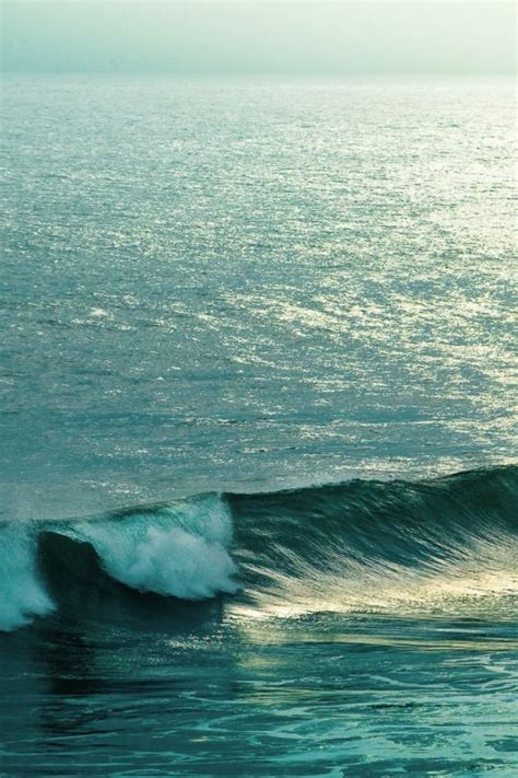 Mystical Waves Surfing Ocean Waves