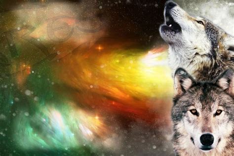 Wolf Wallpaper Hd ·① Download Free Amazing Full Hd Backgrounds For