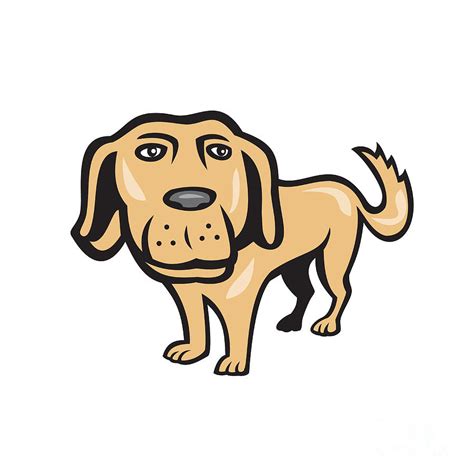 Retriever Dog Big Head Isolated Cartoon Digital Art By