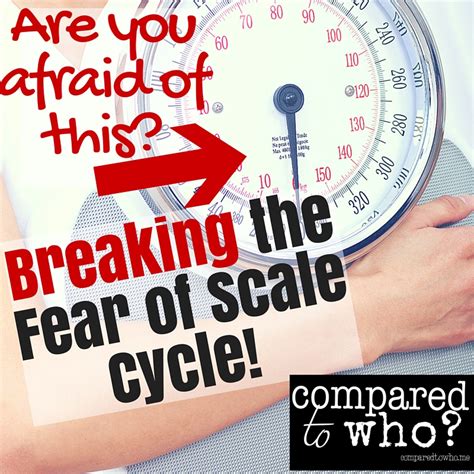 The Fear Of Scale Cycle Compared To Who