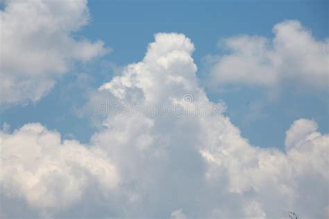 Thick Fluffy Cumulus Clouds In Sky Stock Image Image Of Blue