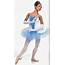 AURORA Princess Sleeping Beauty Cinderella Ballet Tutu Dance Costume 