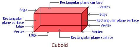 Area of the base of cylinder: Common Solid Figures | Definition of a Cube, Cuboid ...