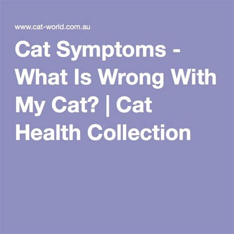 Cat Symptoms What Is Wrong With My Cat Cat Health Collection Cat