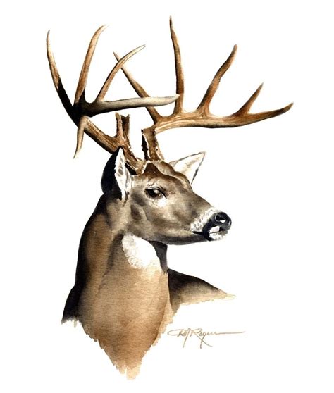 1000 Images About Deer Paintings Limited Edition Clipart Best