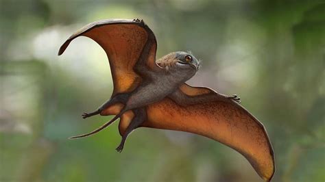 Prehistoric Flying Reptiles