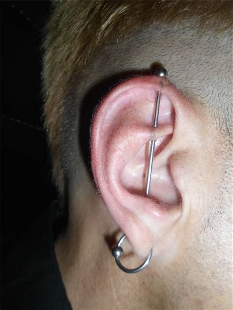 27 Industrial Piercing Jewelry Examples And Info Guide