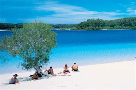 Day Fraser Island Wd Tour From Noosa Or Rainbow Beach Triphobo