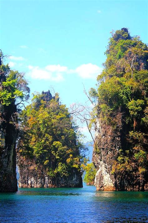 The kuala koh canopy walk appears to be permanently closed. Koh Sok,National Park, Thailand | Paisagens bonitas ...