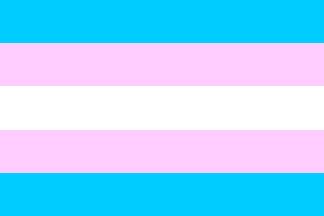 Flag used by transgender individuals, organizations and communities. Transgendered flags