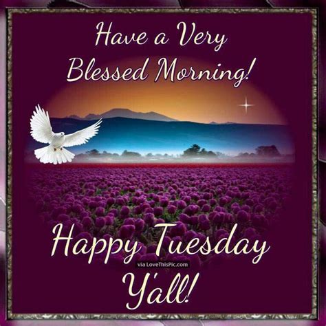 Have A Very Blessed Morning Happy Tuesday Pictures Photos