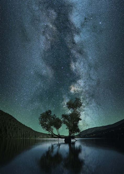 Sky Green Leafed Tree On Body Of Water Under Starry Sky Wallpaper Image