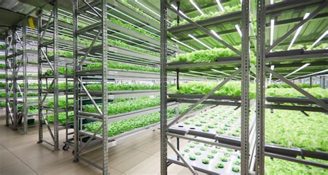 Vertical Farming Advantages You Should Know About Hortimedia