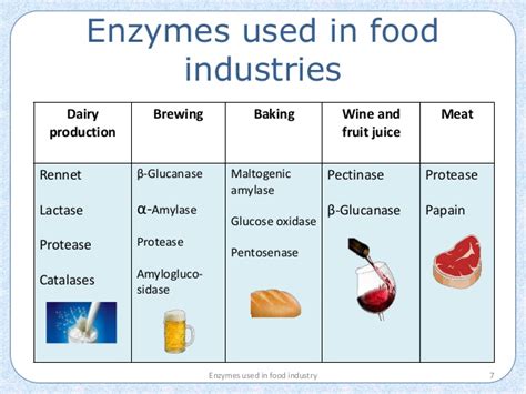 Thus, the leather industry's solid waste internalized for the production of unhairing enzyme resulted in a sustainable solution for pollution problems. Enzymes In Industry Essay