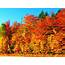 Why 2017 Fall Foliage Especially Colorful  Simplemost